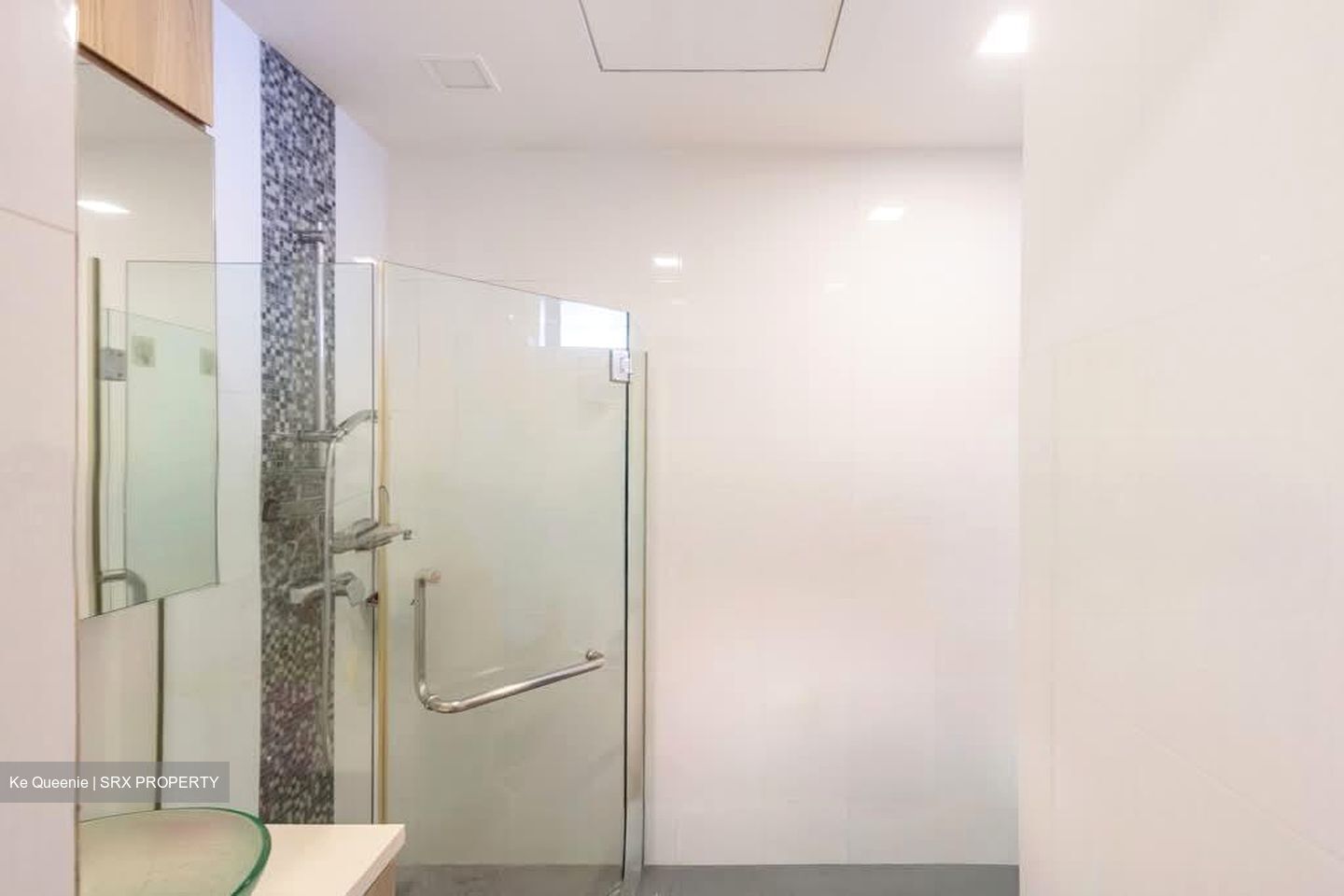 Le Conney Park (D15), Apartment #563947651